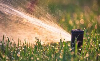 /Tuin-besproeien-met-regenwater-zo-zet-je-een-slim-systeem-op/