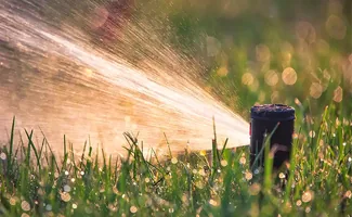Tuin besproeien met regenwater: zo zet je een slim systeem op