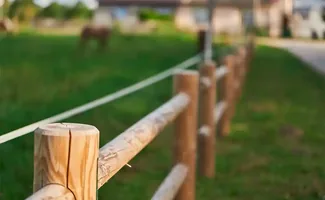 Veiligheid en stijl voor jouw paardenomheining