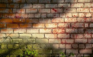 /Gevelreiniging-mos-en-algen-weg-waarde-behouden/