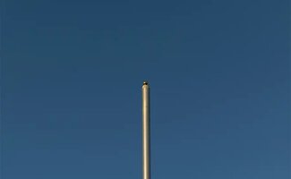 /Een-vlaggenmast-in-de-tuin-plaatsen-waar-let-je-op/